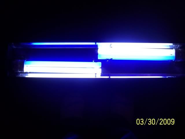 100_5107.jpg