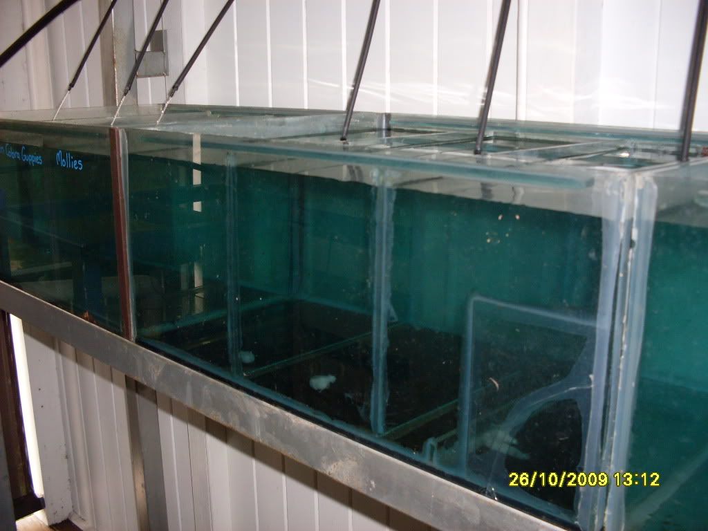 breederssetup2004.jpg