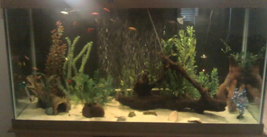 2011-07-10_18-50-39_983.jpg