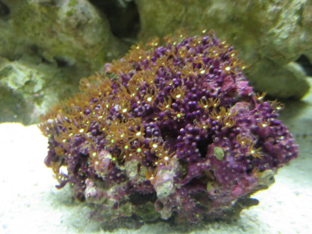 IMG_0881.jpg