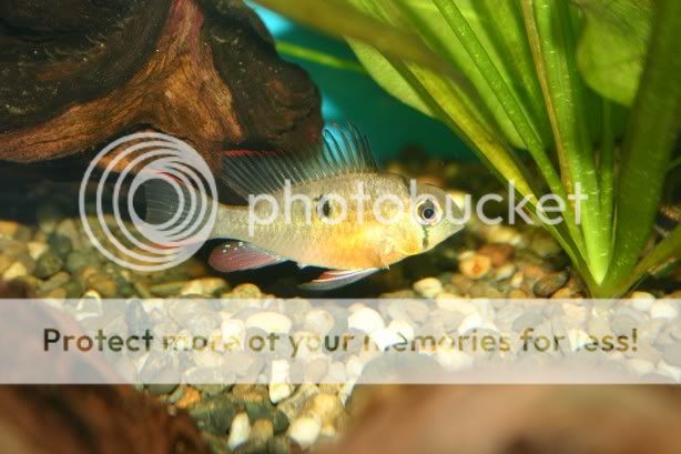 Picture007.jpg
