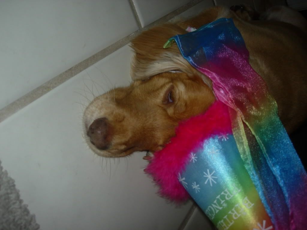 2008005.jpg