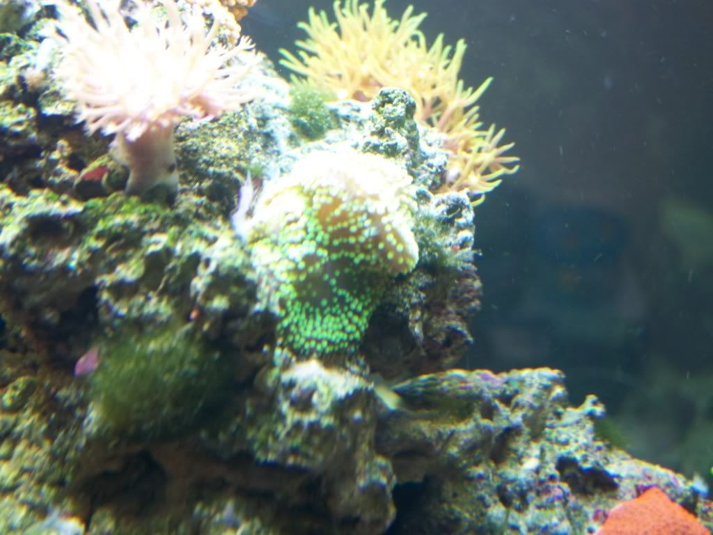 100_1282.jpg