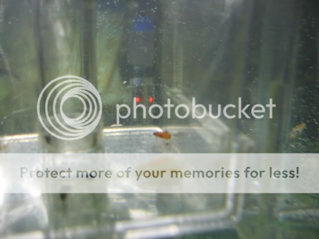 Picture090.jpg