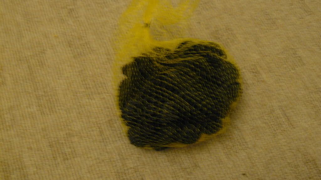 P1000847.jpg
