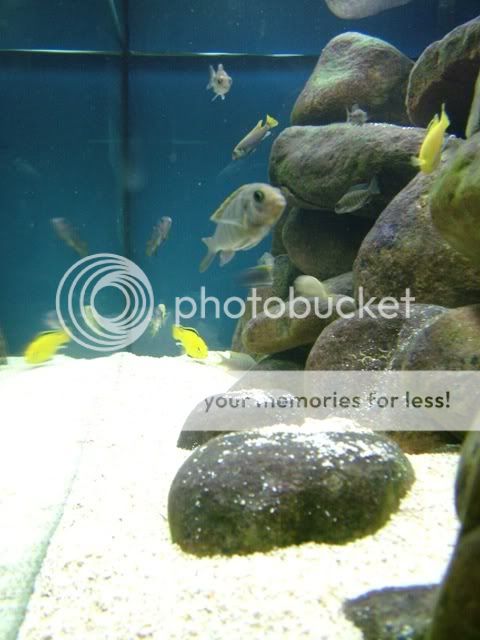 DSCF3585.jpg