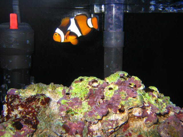 IMG_0096.jpg