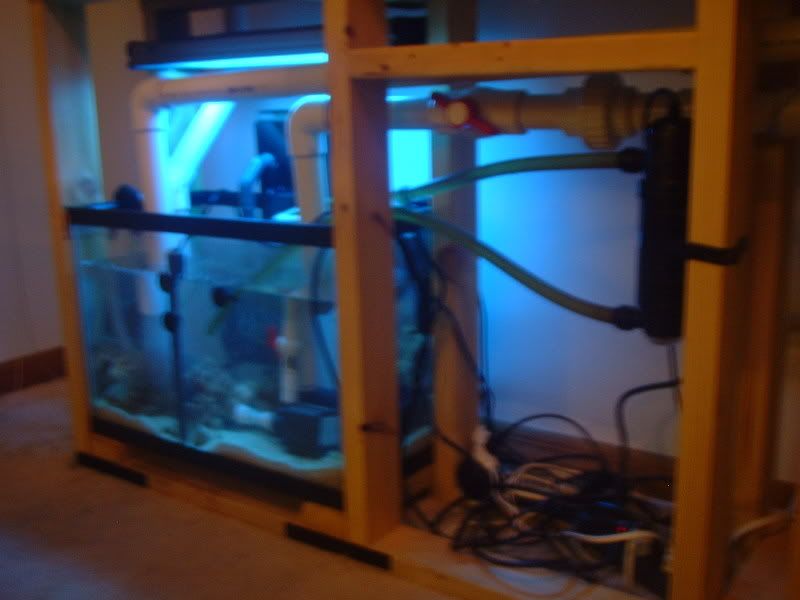 DSCF0005.jpg
