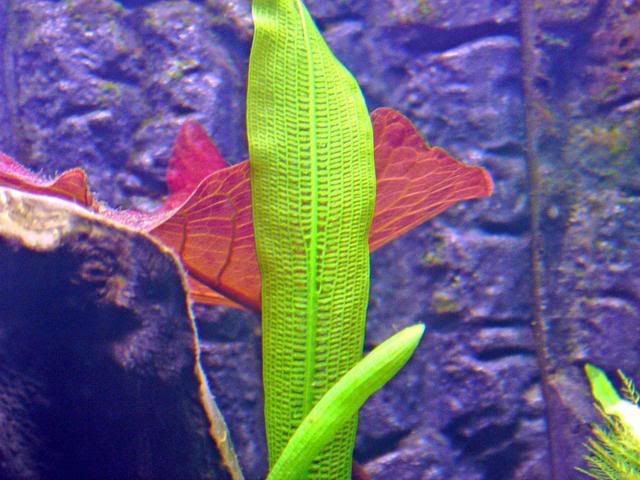 IMAG0032_edited.jpg