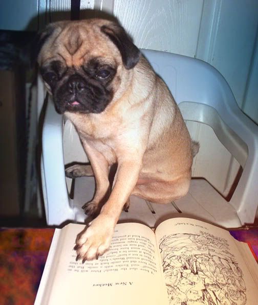 PUGSLEEReadDTO.jpg