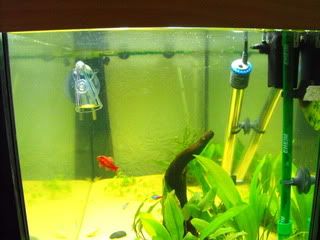 2010_0709NTD0005.jpg