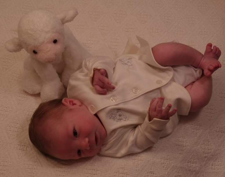 ZachwithLamb2.jpg