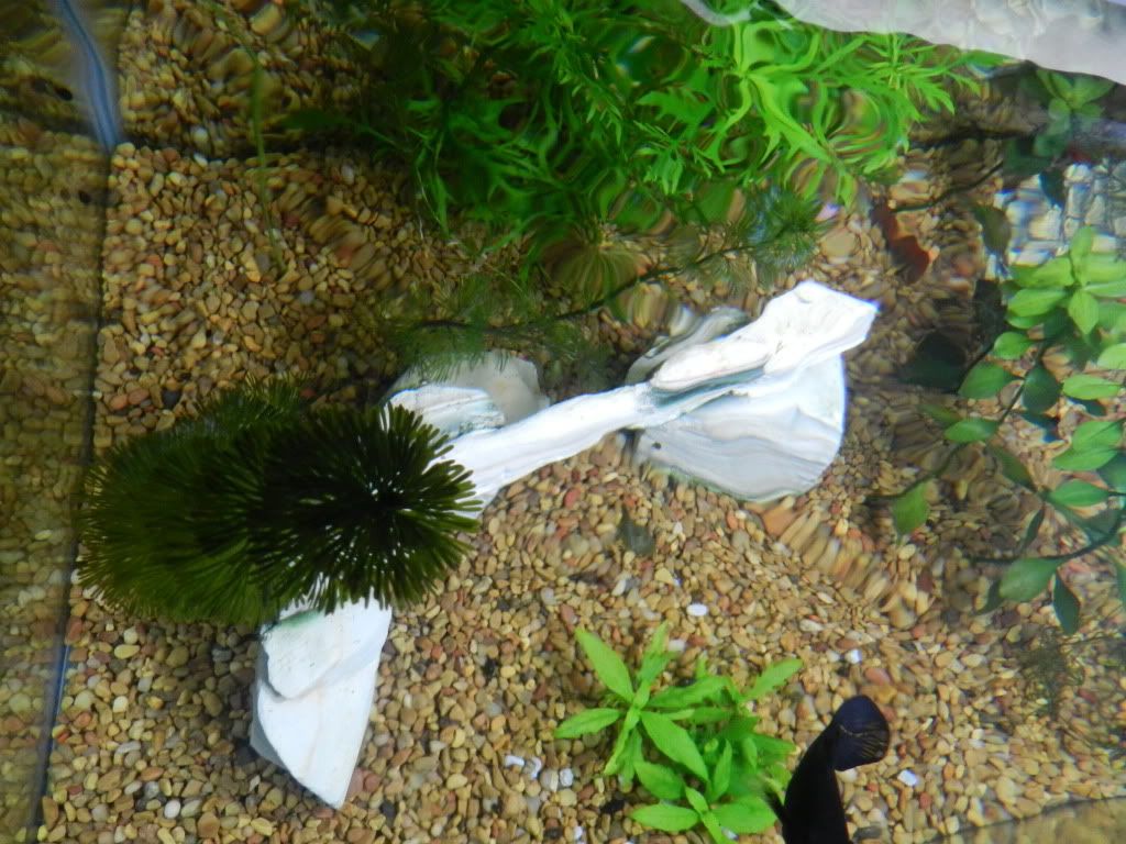 DSCN5476.jpg