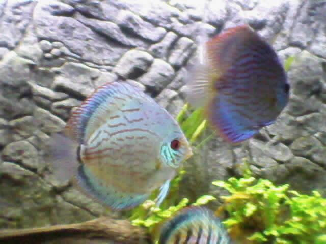 Photo-0016.jpg