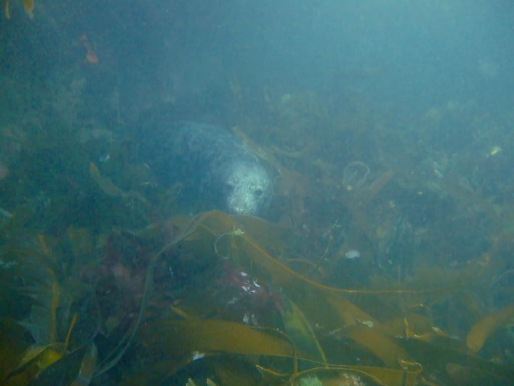 DSCF6100.jpg
