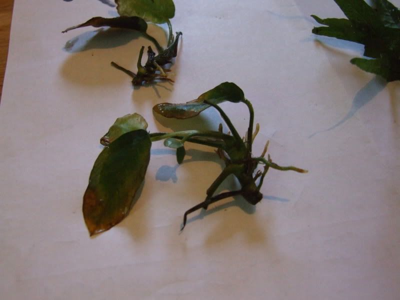 DSCF5753.jpg