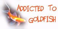 goldfish2.jpg