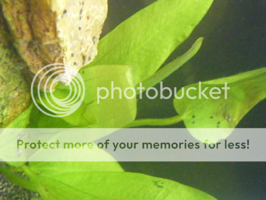 DSCF4291.jpg