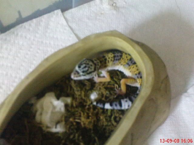 DSC00683.jpg