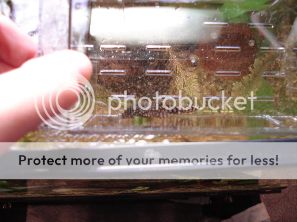 DSC00115.jpg