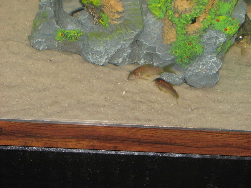 IMG_0914.jpg