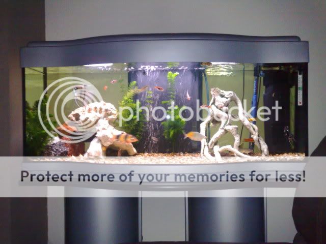 02092008087.jpg