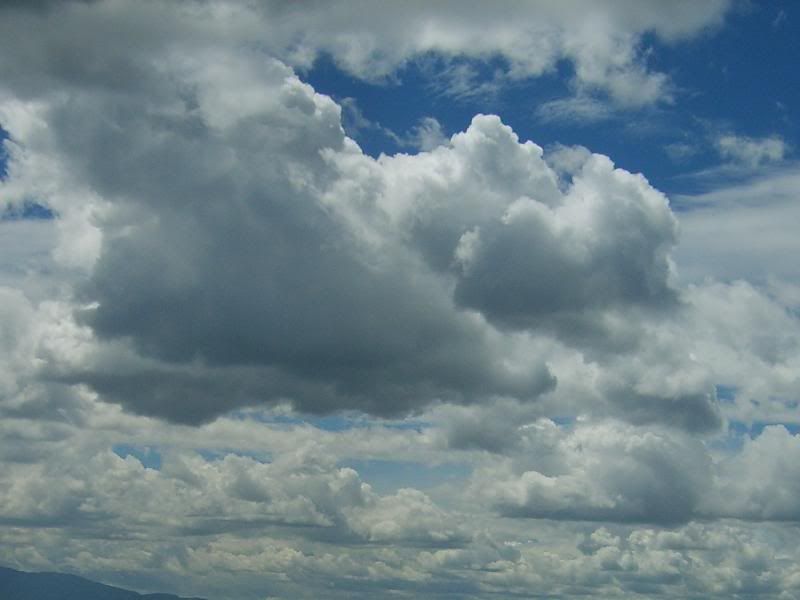 S5004816.jpg