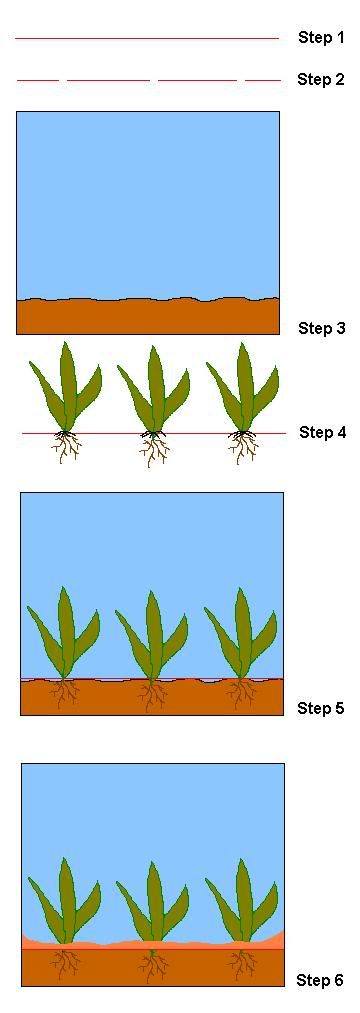 instructions2.jpg