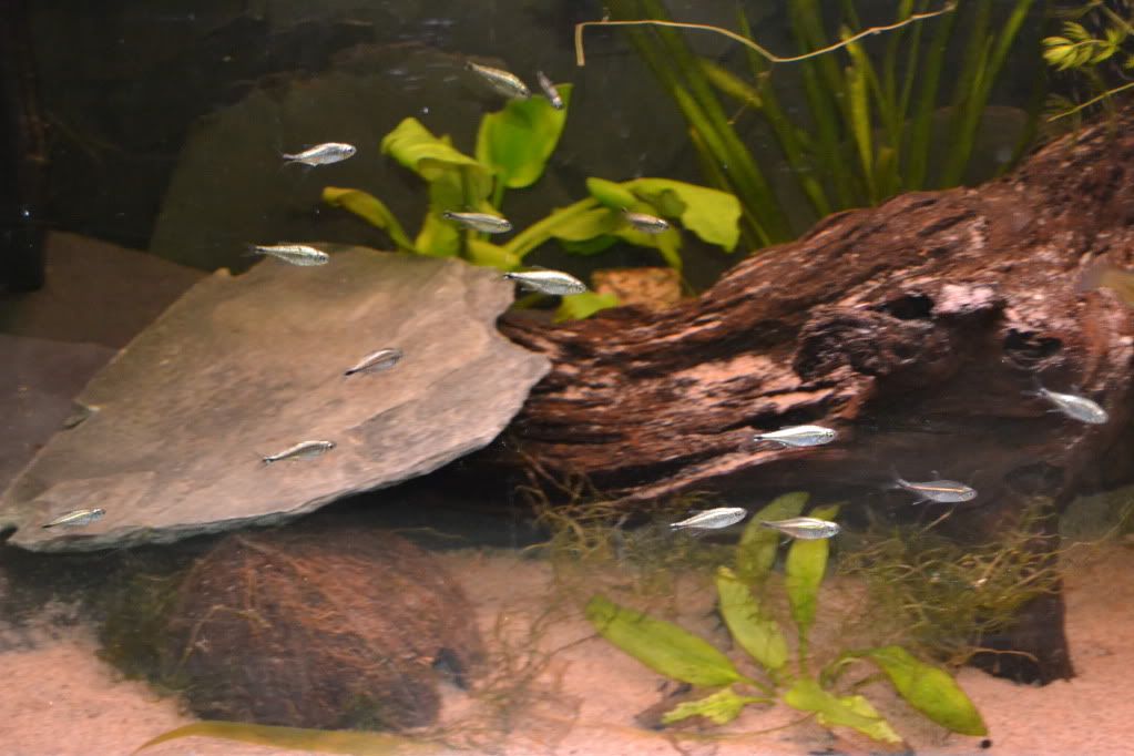 DSC_0009.jpg