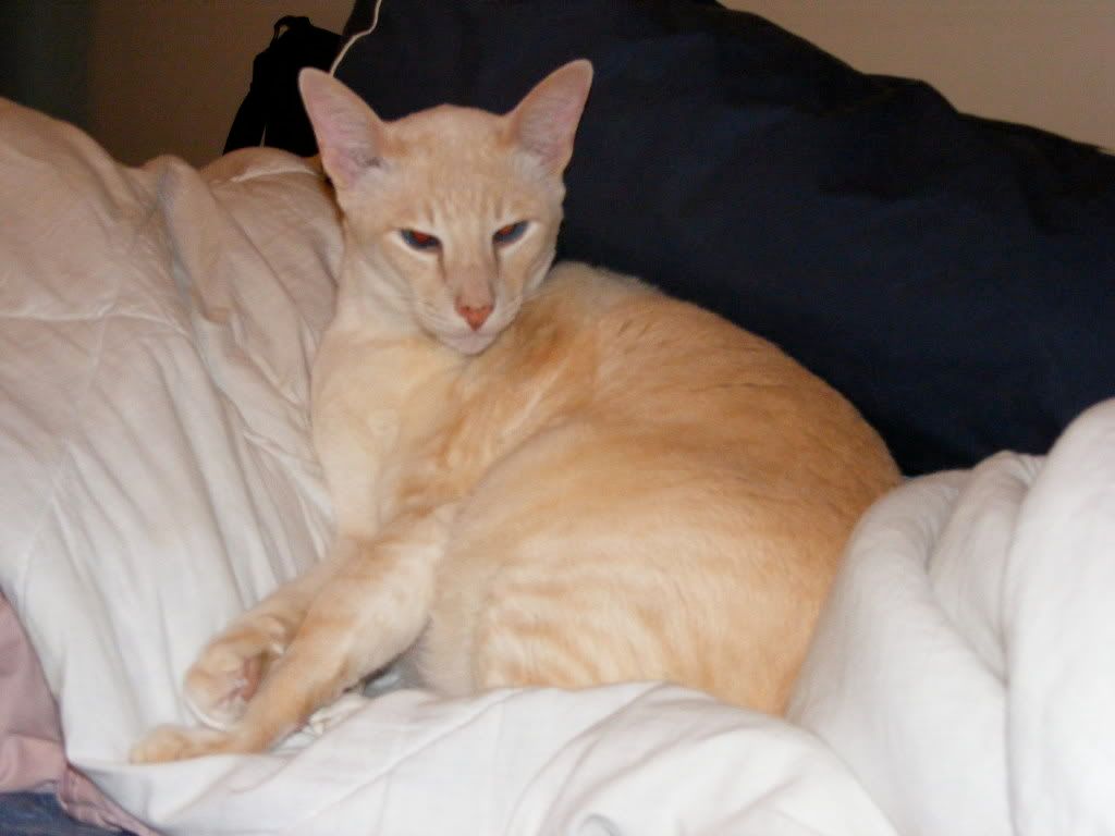 DSCF0221.jpg