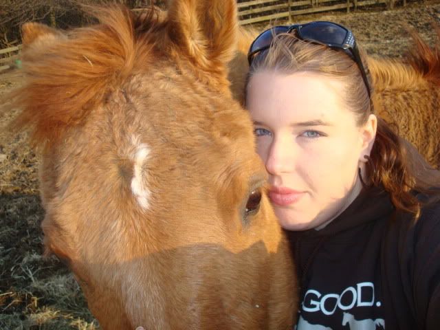 horsies010.jpg