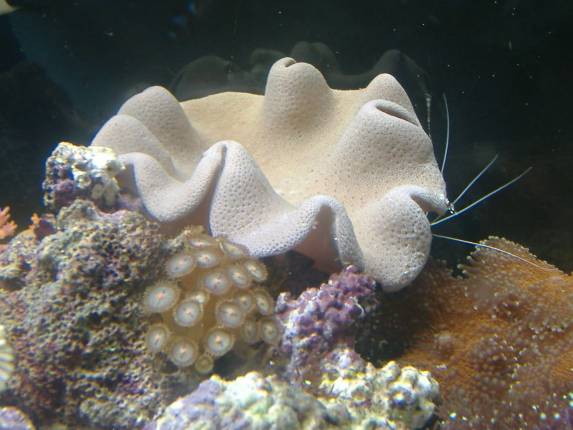 DSCF0543.jpg