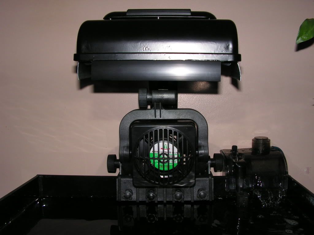 PICT1025.jpg