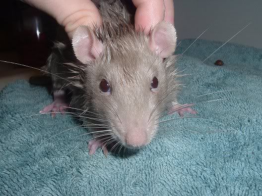 bath4.jpg
