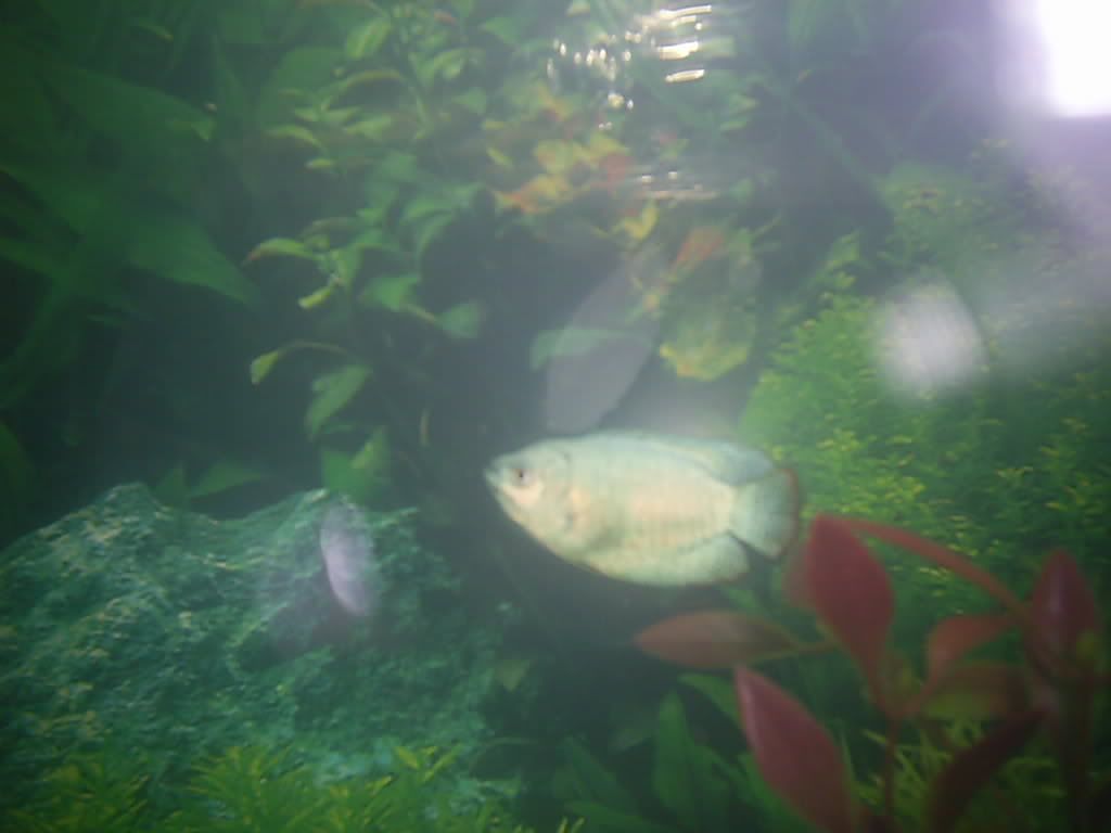 PIC_0017.jpg