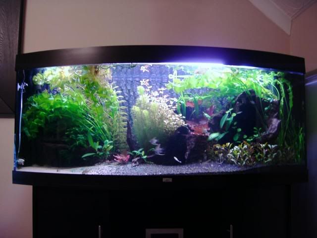 IMAG0041-2.jpg
