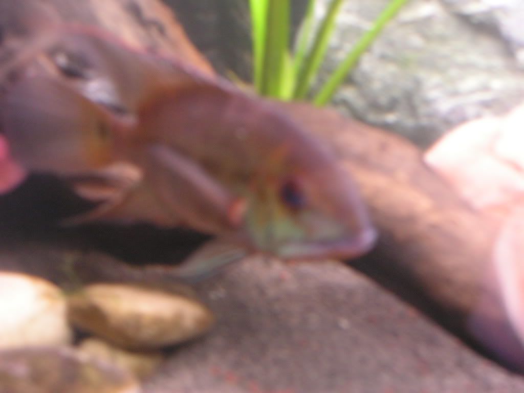 PICT1502.jpg