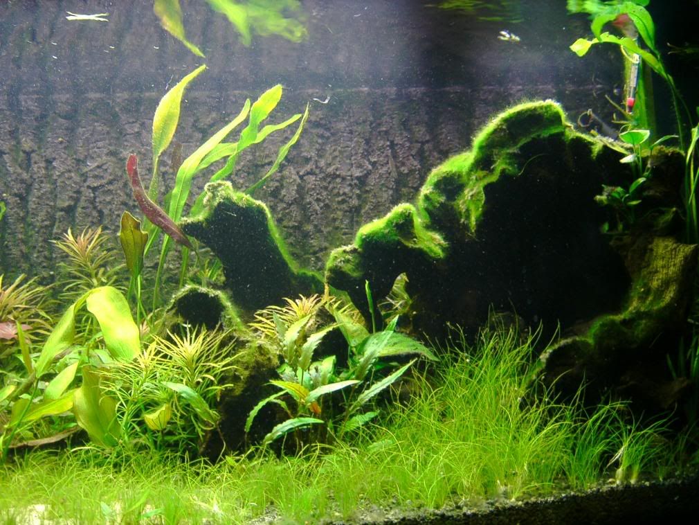 IMAG0030.jpg