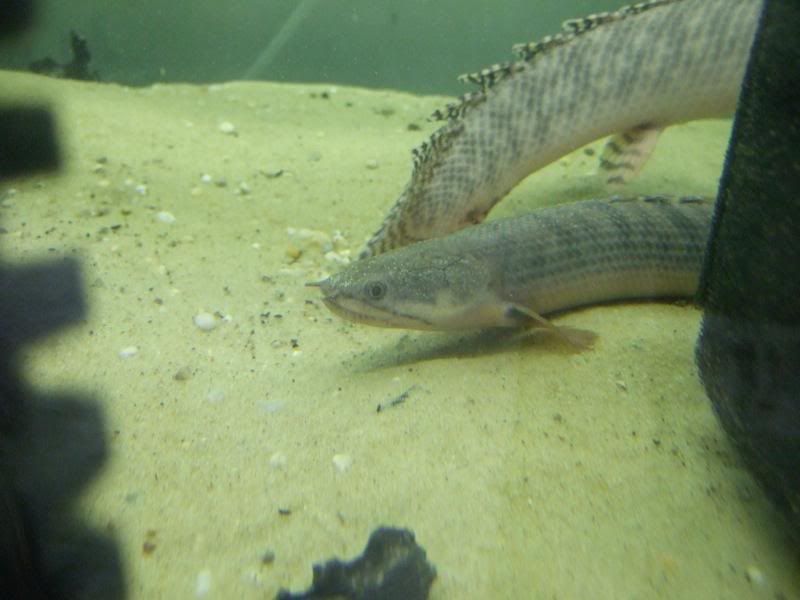DSCF2589.jpg