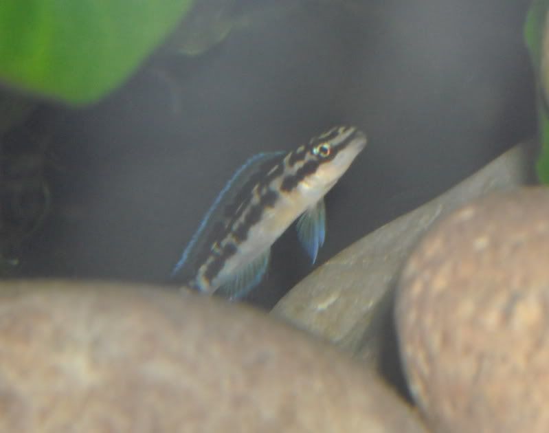 DSCN1047.jpg
