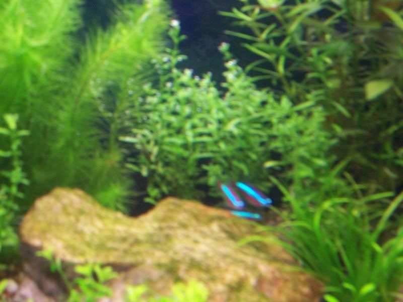 100_2340.jpg