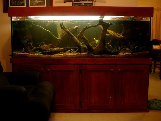 newtank7.jpg