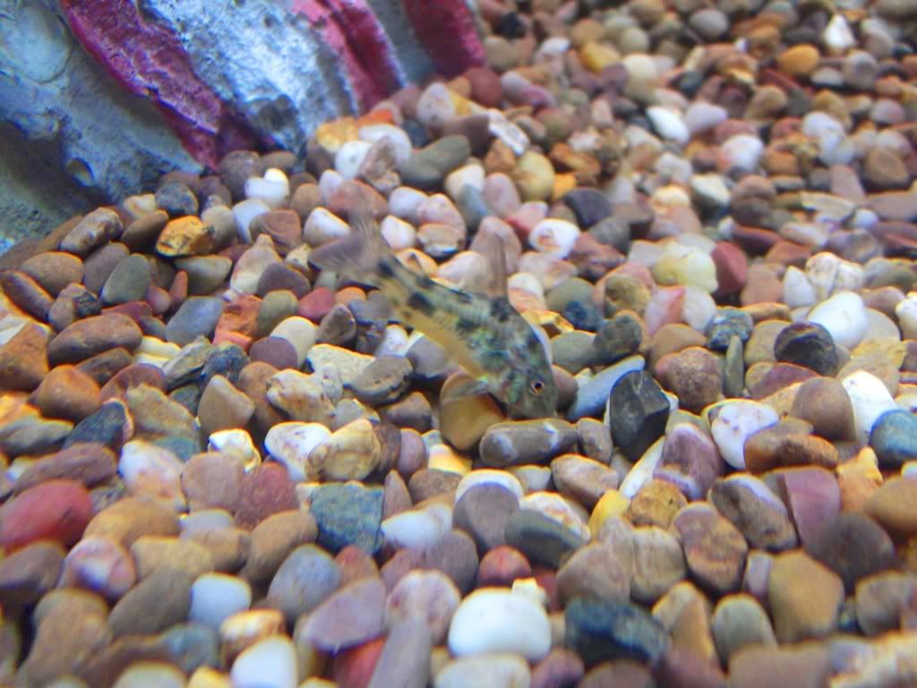 DSCF1276.jpg