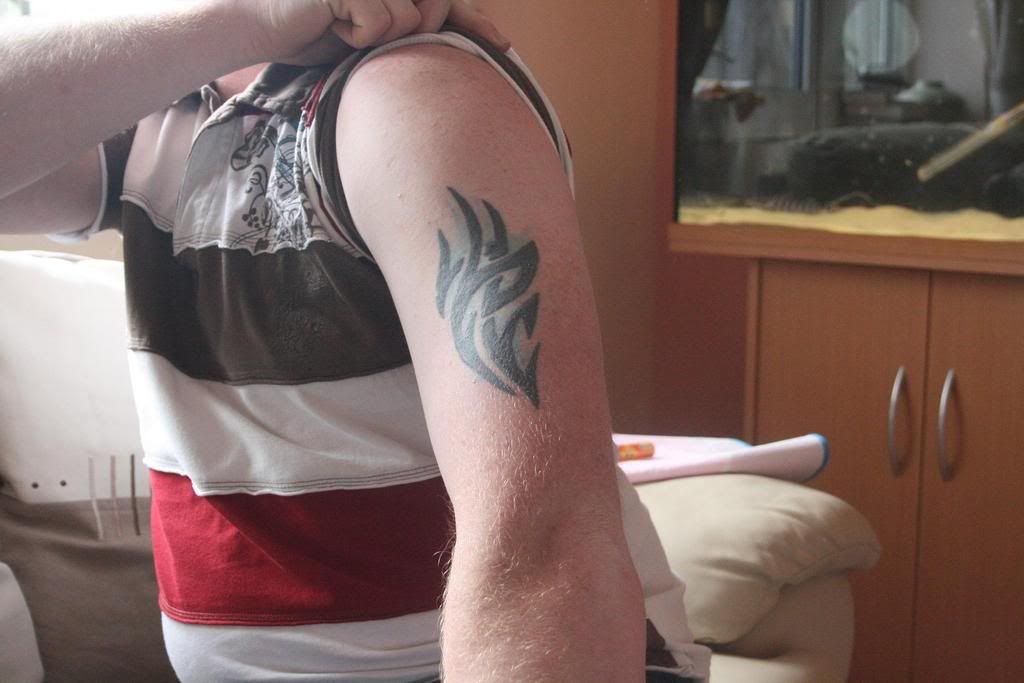 Picture1246.jpg