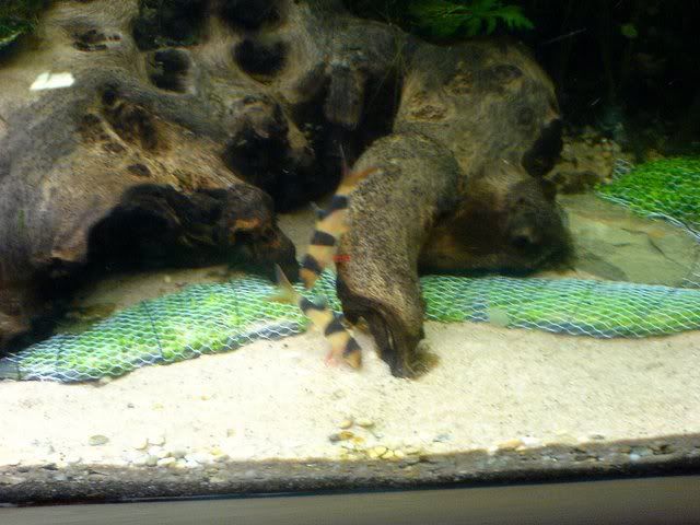 DSC01121p.jpg