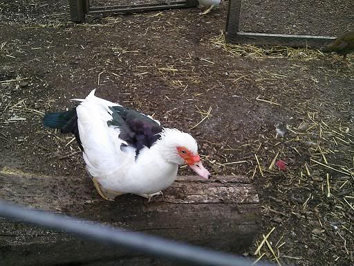 Photo0114.jpg