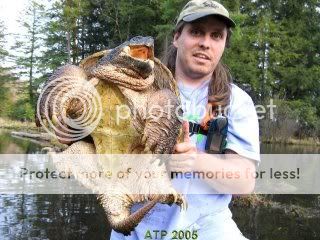 snapper.jpg