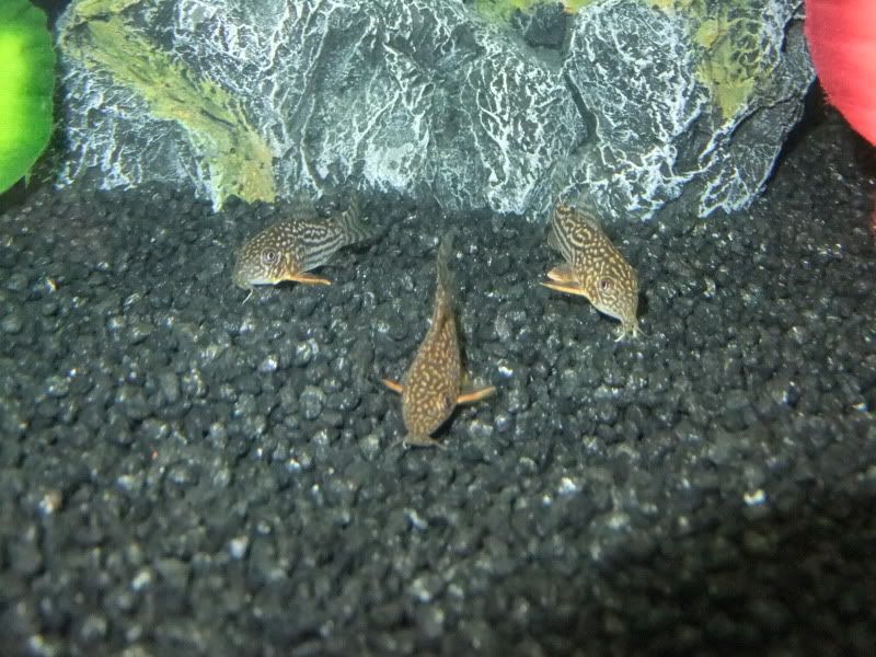 DSCF1689.jpg