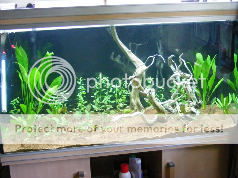 DSCF9271.jpg