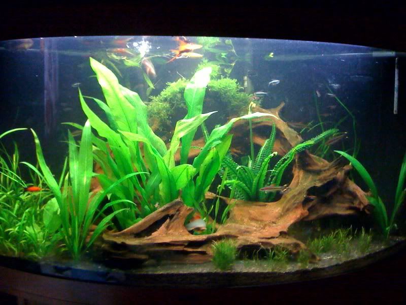 photo-1-1.jpg